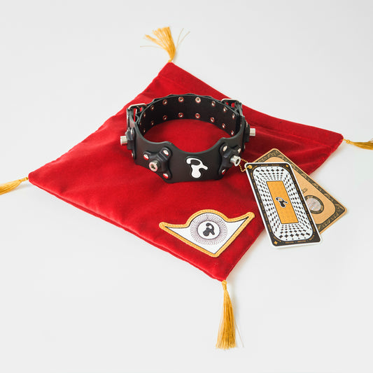Racine Collar 01
